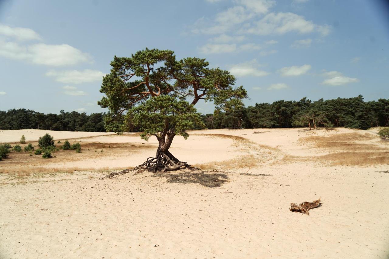 הושורסט Veluwe Hotel De Beyaerd מראה חיצוני תמונה